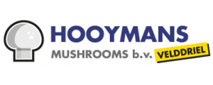 hooymansMushrooms